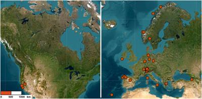 Comparative analysis of mycorrhizal communities associated with Struthiopteris spicant (L.) Weiss across Europe and North America